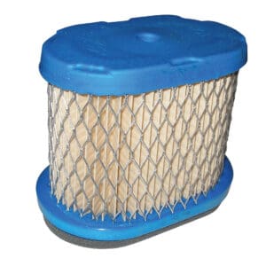 Briggs & Stratton Genuine Air Filter 697029