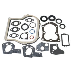 Briggs & Stratton Genuine Gasket Set 495603