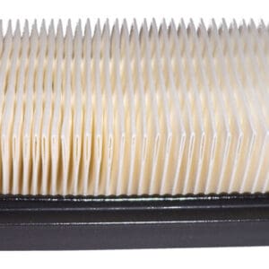 Briggs & Stratton Genuine Air Filter 794422