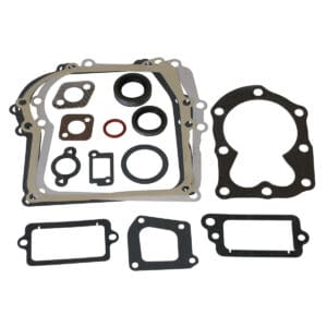Briggs & Stratton Genuine Gasket Set 699933, 794209