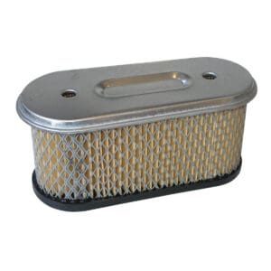 Briggs & Stratton Air Filter 491021