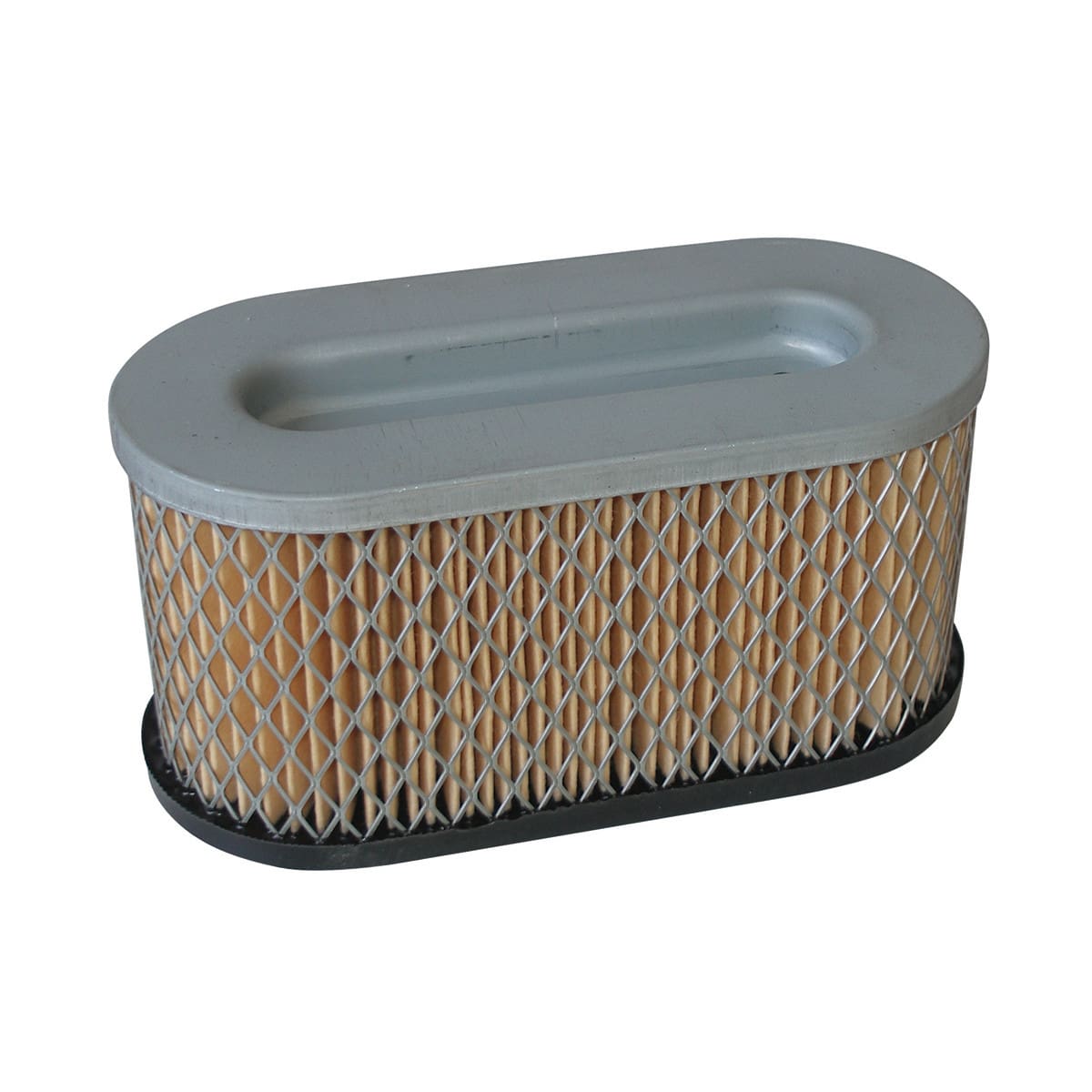 Briggs & Stratton Air Filter 491950