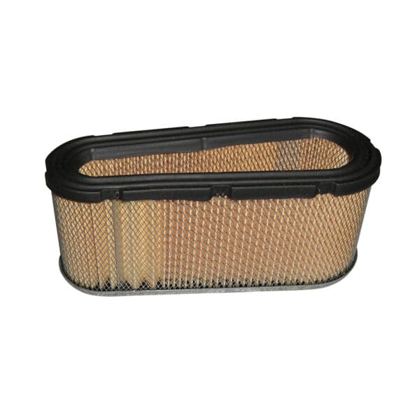 Briggs & Stratton Air Filter 496894S