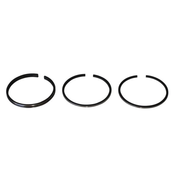 Briggs & Stratton Genuine Piston Ring Set 294232, 295657