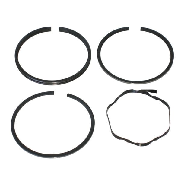 Briggs & Stratton Genuine Piston Ring Set 396459