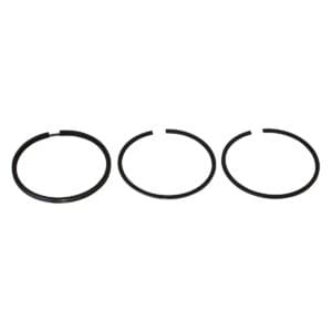 Briggs & Stratton Genuine Piston Ring Set 493261