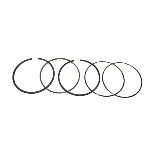 Briggs & Stratton Genuine Piston Ring Set 795690, 790909