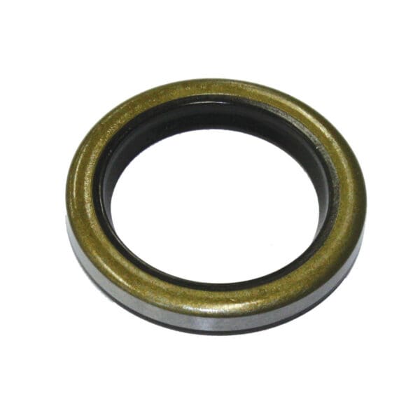 Briggs & Stratton Oil Seal 294606