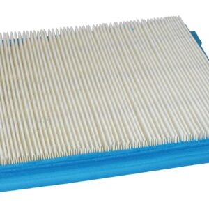 Briggs & Stratton Genuine Air Filter (805113 X 5)