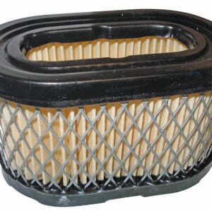 Briggs & Stratton Genuine Air Filter (497725 X 4)