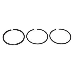 Briggs & Stratton Genuine Piston Ring Set