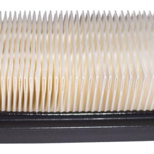 Briggs & Stratton Genuine Intek Air Filter - Also 797008/794422