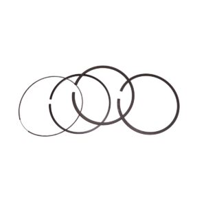 Briggs & Stratton Genuine Piston Ring Set