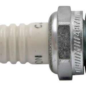 Champion Spark Plug - 4 Pack