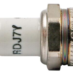 Champion Spark Plug - 4 Pack