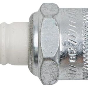 Champion Spark Plug - 4 Pack